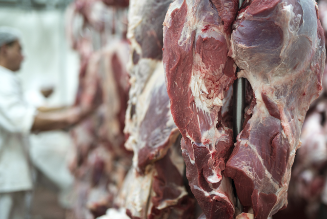 Modern Tiles fitting